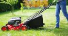 Verlässlicher Tüchtiger Gewissenhafter Gärtner biete Garten Dienste an